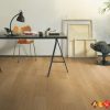 Sàn gỗ QuickStep CLM 3184 - Sàn gỗ công nghiệp Bỉ